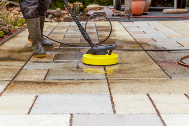 Best Solar Panel Cleaning  in Leona Valley, CA